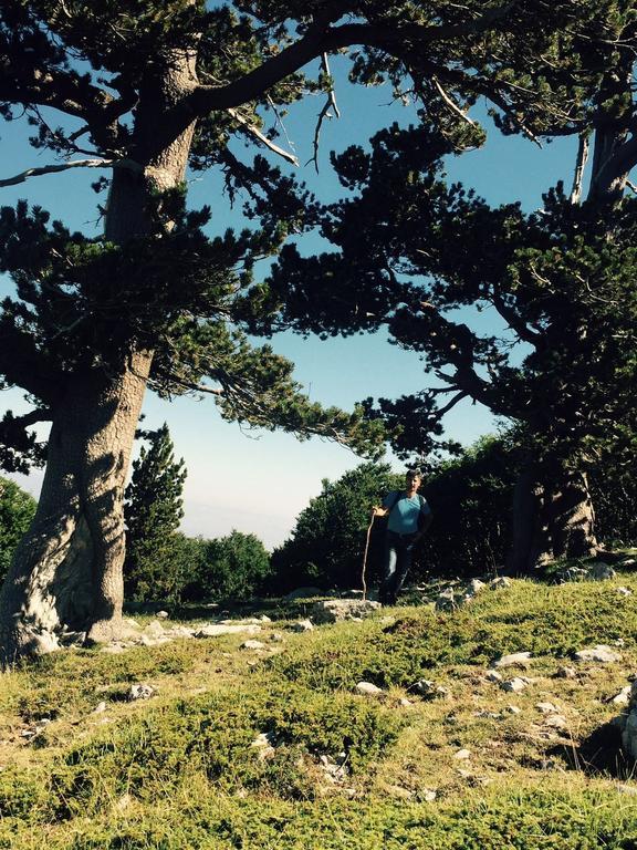 فندق La Stella Del Pollino San Lorenzo Bellizzi المظهر الخارجي الصورة