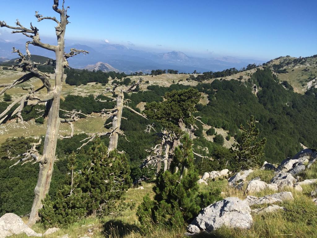فندق La Stella Del Pollino San Lorenzo Bellizzi المظهر الخارجي الصورة